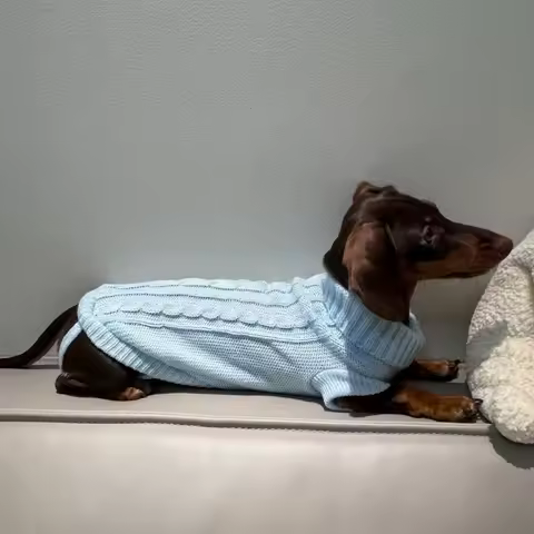 SUÉTER CUELLO ALTO ELEGANTE PARA PERROS