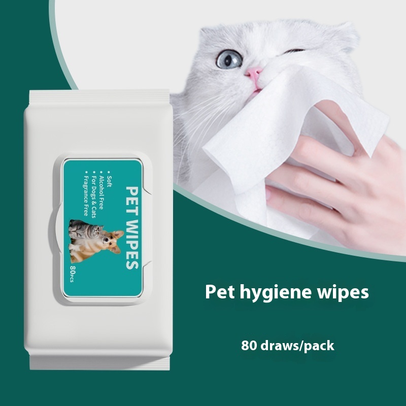 Cuidados Fáciles para Gatos
