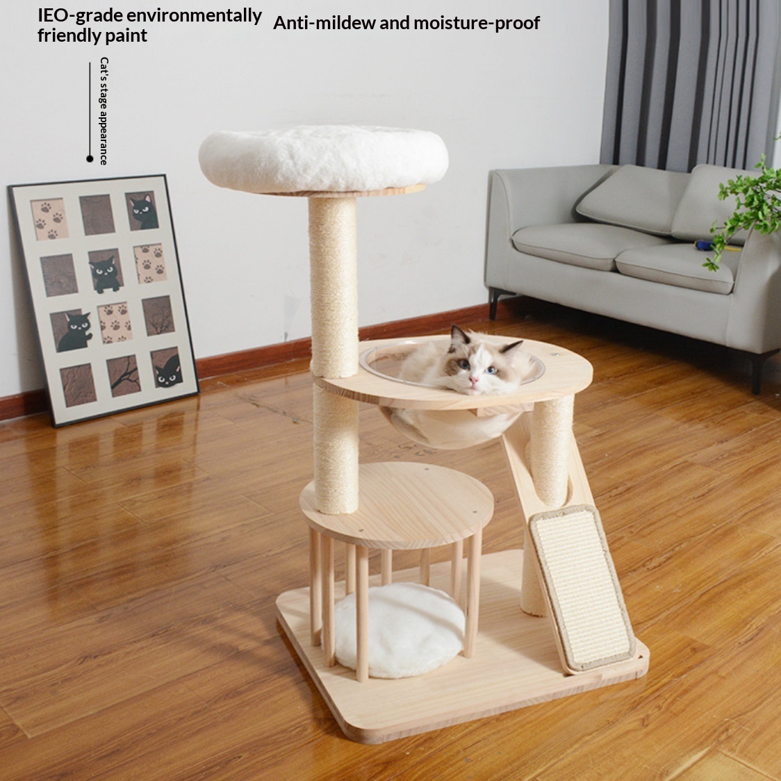 Cat House Jumping Platform