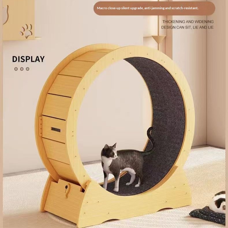 Cat Treadmill Pet Cat