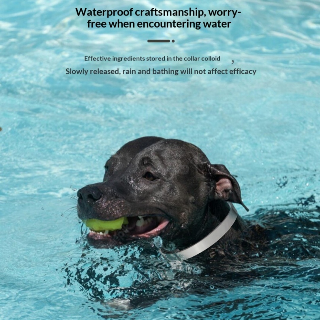 Set Pheromone Calming Collars
