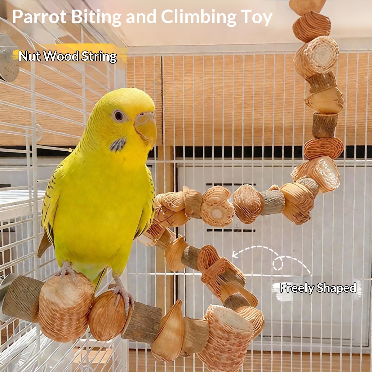 Pineapple Corn Cob Parrot